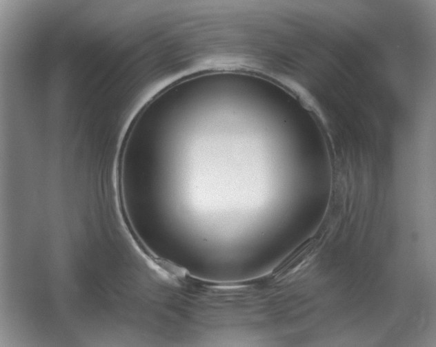 X0000062621343200512281519