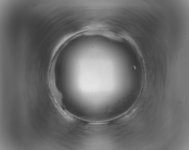 X0000062621344200512281519