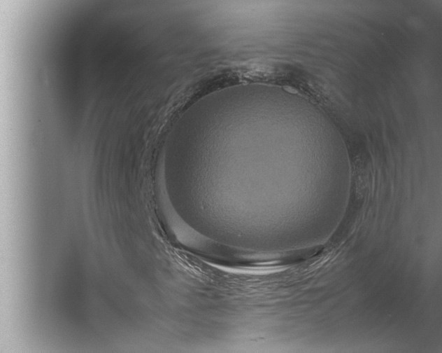 X0000062621345200512281519