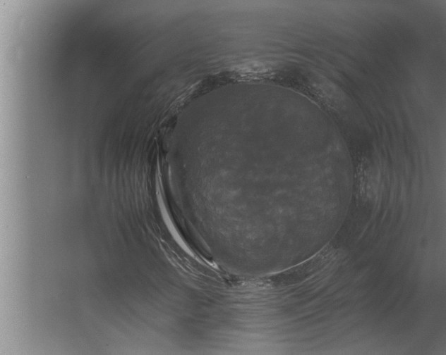 X0000062621346200512281519