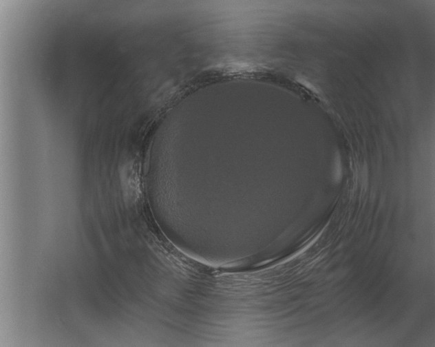 X0000062621348200512281519