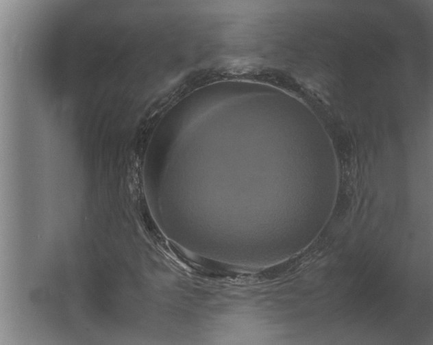 X0000062621349200512281519