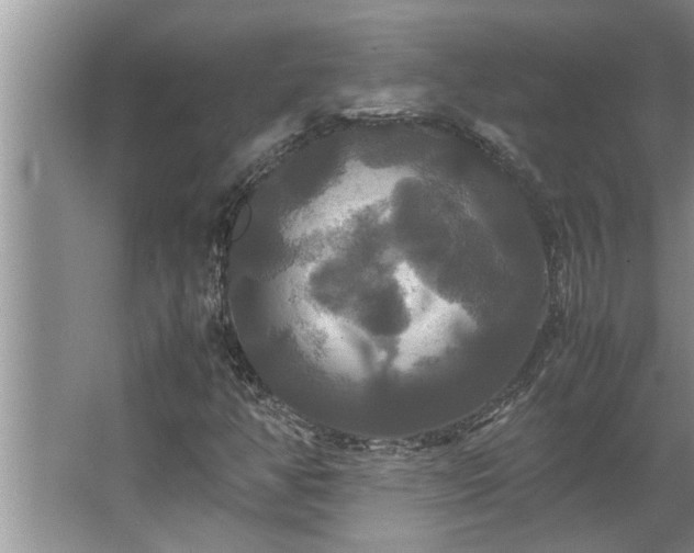 X0000062621350200512281519