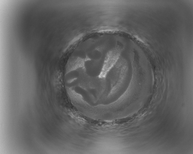 X0000062621351200512281519