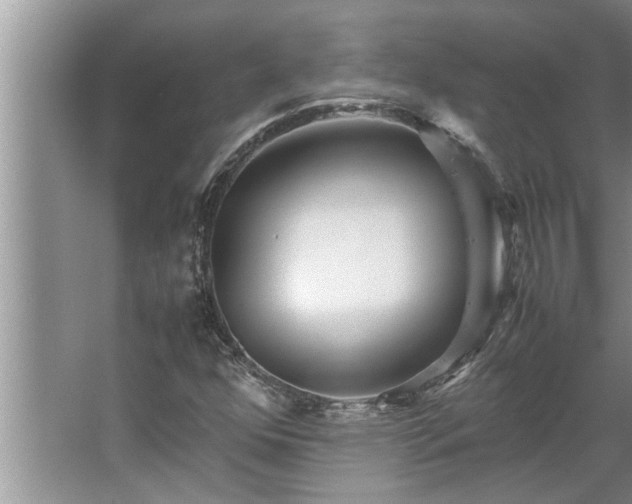 X0000062621352200512281519