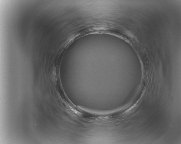 X0000062621353200512281519