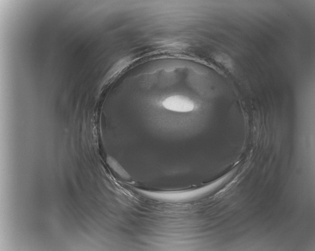 X0000062621354200512281519