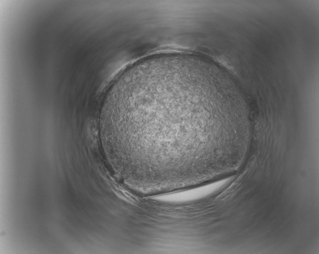 X0000062621355200512281518