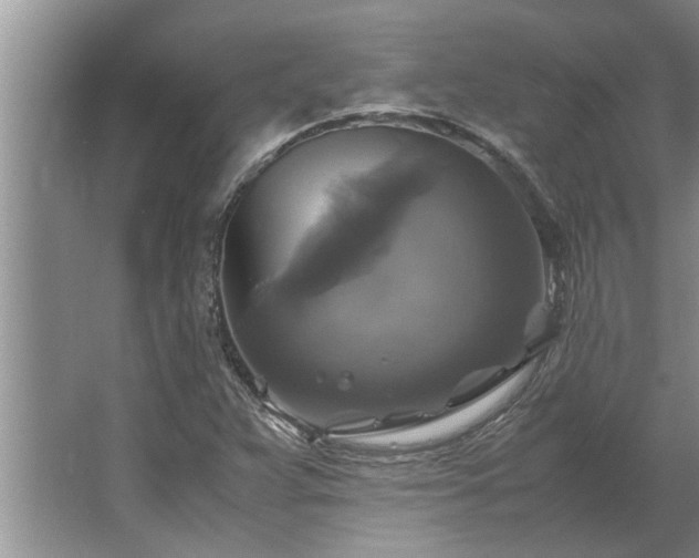 X0000062621359200512281518