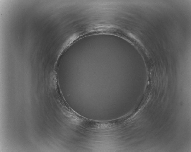 X0000062621362200512281518