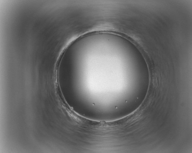 X0000062621366200512281518