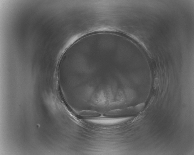 X0000062621367200512281518