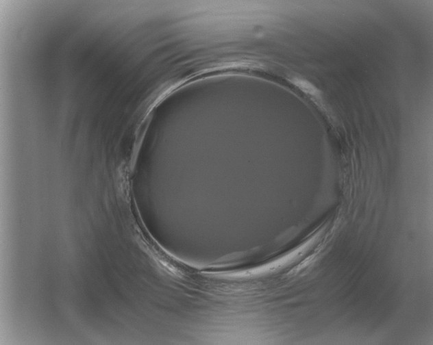 X0000062621369200512281518