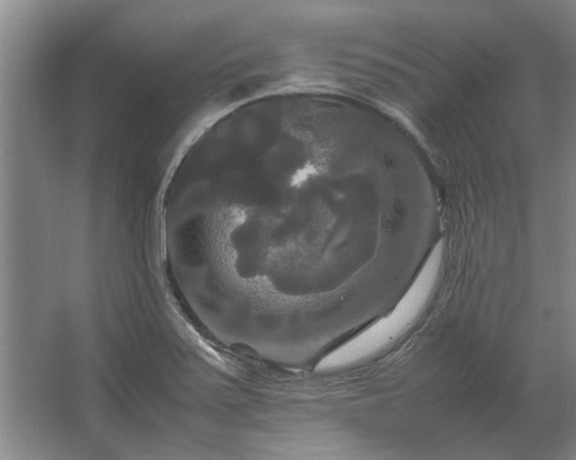 X0000062621371200512281518