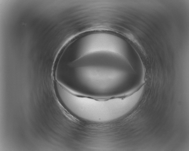 X0000062621372200512281518