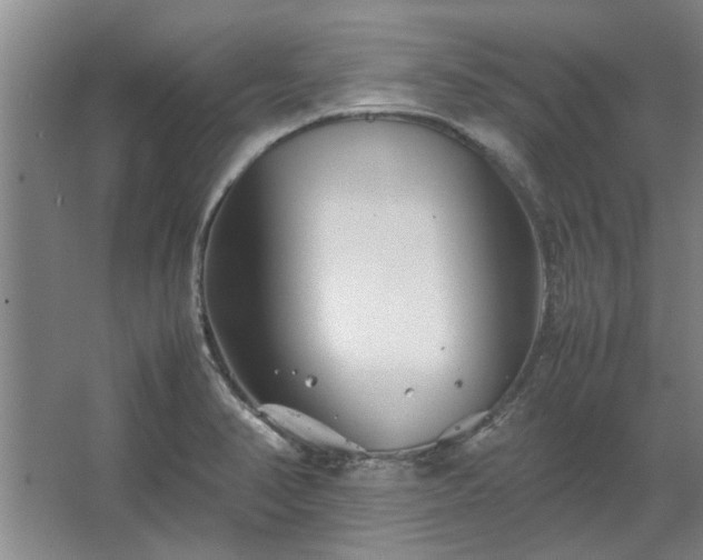 X0000062621374200512281518