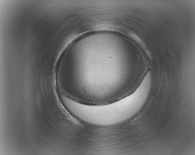 X0000062621376200512281518