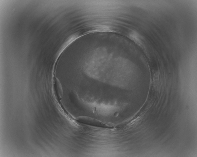 X0000062621378200512281518