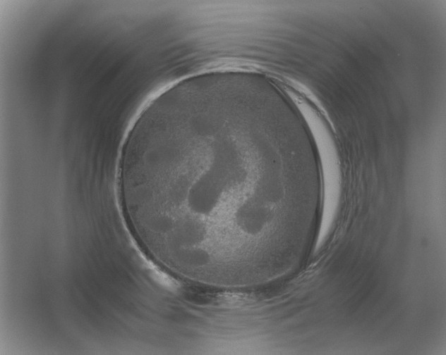 X0000062621379200512281518