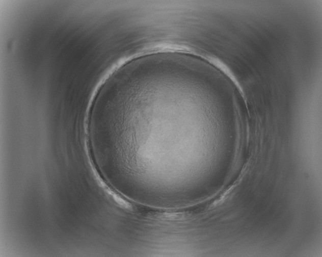 X0000062621381200512281518