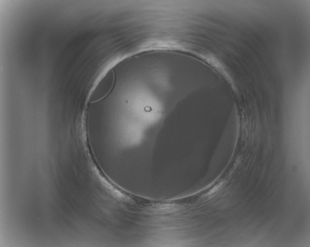 X0000062621382200512281518