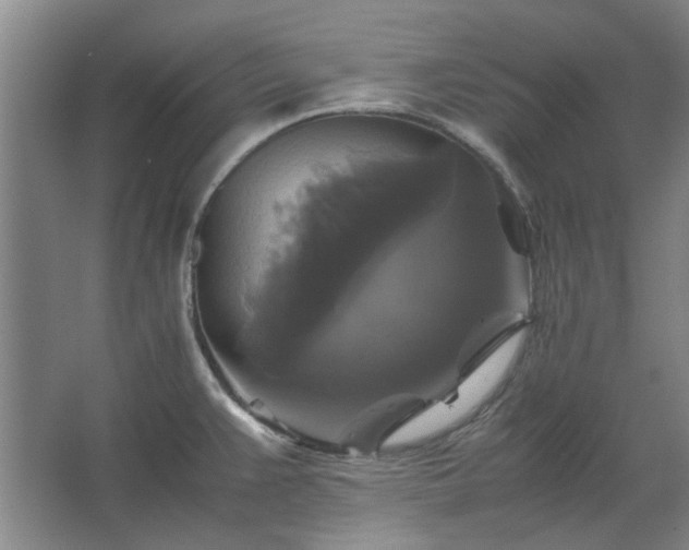 X0000062621383200512281518