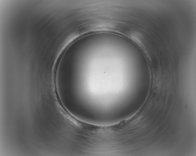 X0000062621384200512281518