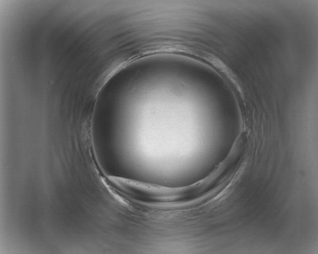 X0000062621385200512281518