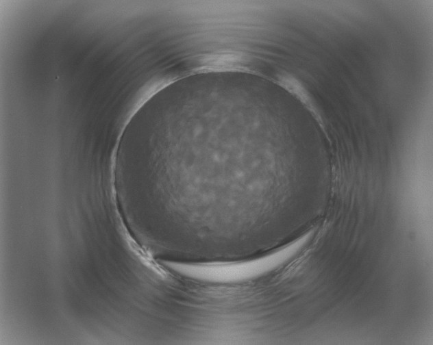 X0000062621386200512281518