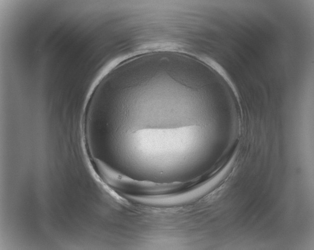 X0000062621389200512281518