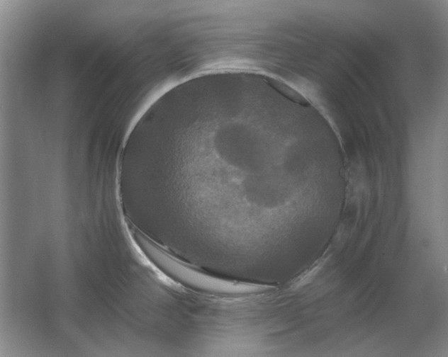 X0000062621390200512281518