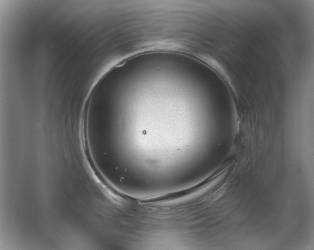 X0000062621391200512281518