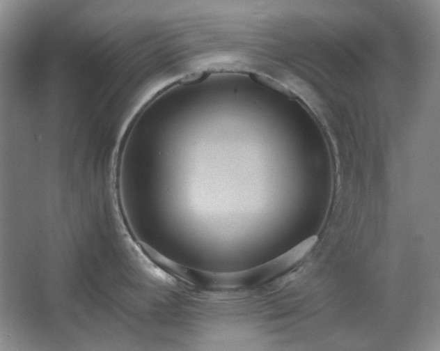 X0000062621392200512281518