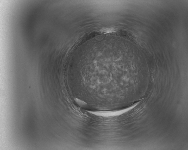 X0000062621393200512281517