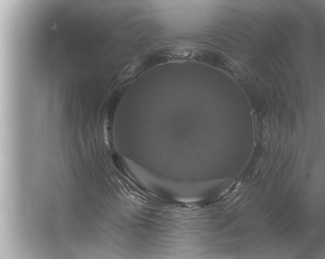 X0000062621394200512281517