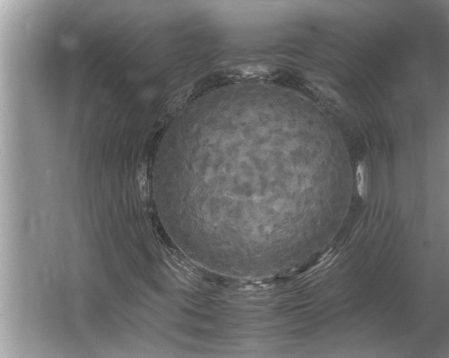 X0000062621395200512281517