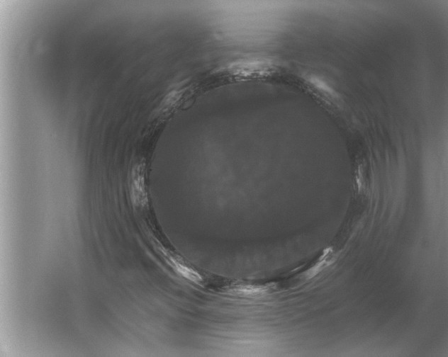 X0000062621396200512281517