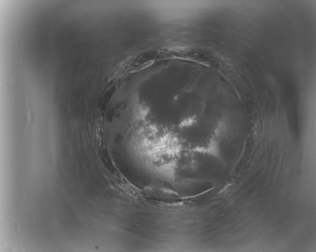 X0000062621397200512281517