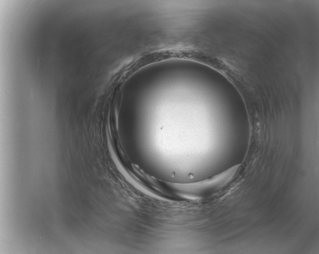 X0000062621398200512281517