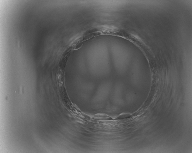 X0000062621399200512281517