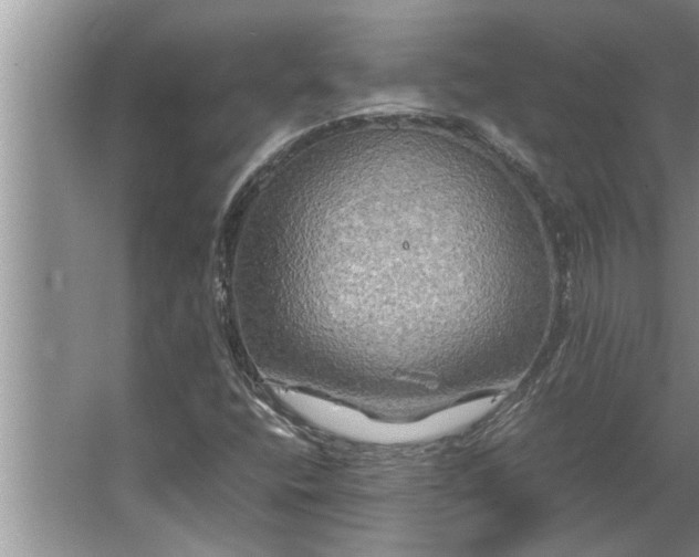 X0000062621400200512281517