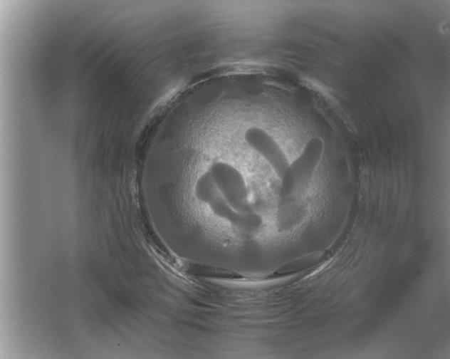 X0000062621403200512281517