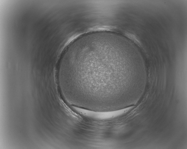 X0000062621404200512281517