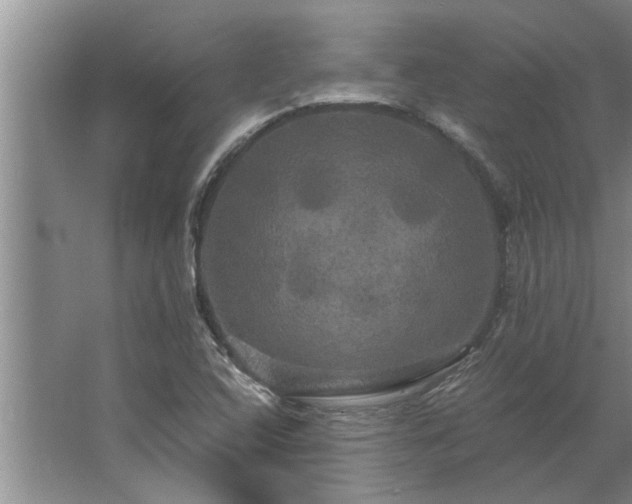 X0000062621408200512281517