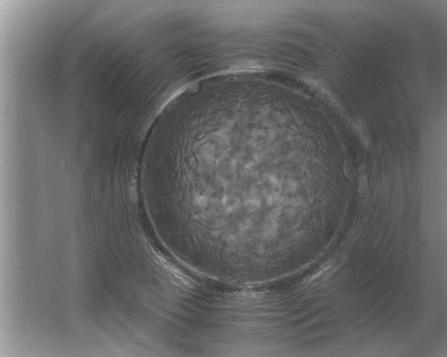 X0000062621409200512281517