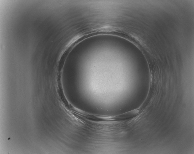 X0000062621410200512281517