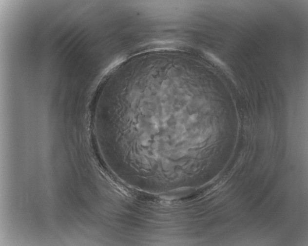 X0000062621411200512281517