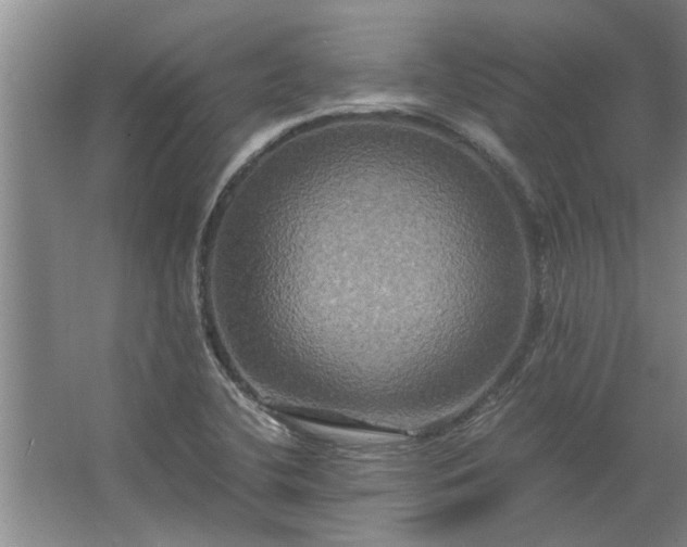 X0000062621412200512281517