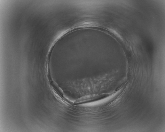 X0000062621413200512281517