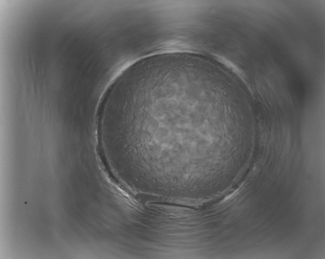 X0000062621415200512281517